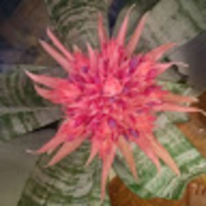 Meet your Posher, Marina